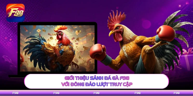Giới thiệu sảnh đá gà F98 với đông đảo lượt truy cập